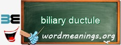 WordMeaning blackboard for biliary ductule